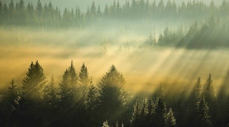 IT Sustainability Service Providers 2023